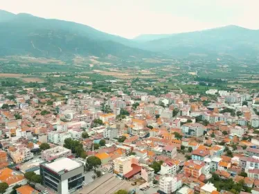 Kiraz Spotçu, İkinci El Eşya Alanlar